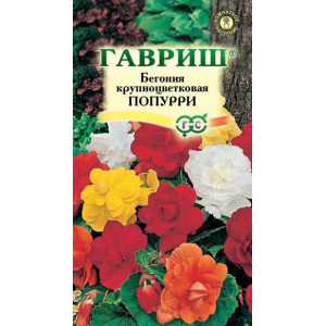 Бегония Попурри крупноцветковая 5сем. (Г)