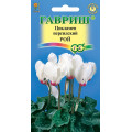 Цикламен перс. Рой* 3 сем.(Г)