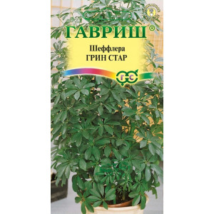 Шеффлера Грин Стар 3 сем. Г