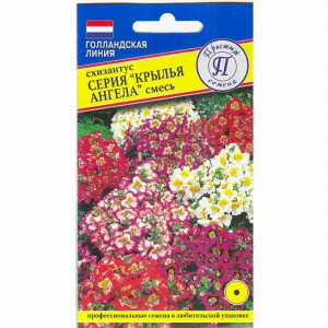 Схизантус Крылья ангела смесь (Престиж)
