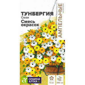 Тунбергия Сюзи Смесь окрасок крылатая/Сем Алт/цп 4 шт.
