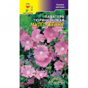 Лаватера Многолетняя (ЦВ)