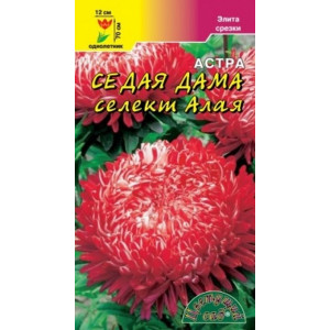 Астра СЕДАЯ ДАМА селект АЛАЯ (ЦВ)