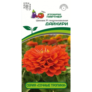 Цинния ДАЙКИРИ F1 ^(4шт) ПАРТНЕР