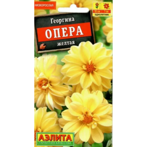 Георгина Опера желтая (7шт) низкоросл.