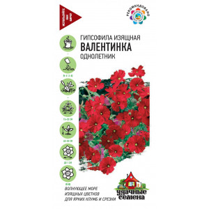 Гипсофила Валентинка 