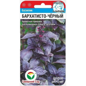 Базилик Бархатисто-черный (0,5 г) (Сиб сад)(10)