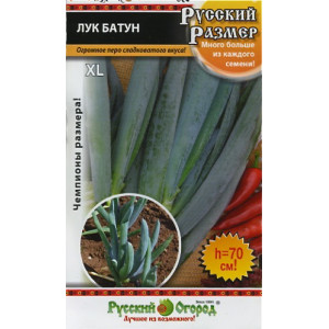 Лук батун Русский размер