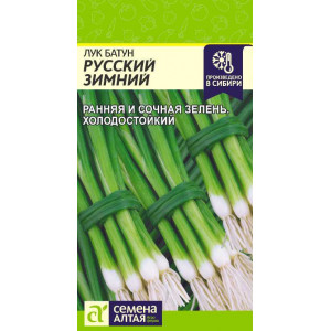 Лук Батун Русский Зимний/Сем Алт/цп 0,5г