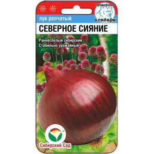 Лук Северное сияние (1 г.) (Сиб сад)