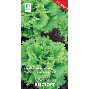 Салат Восторг 1г П+