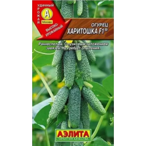 Огурец Харитошка F1 (0,25 гр.) Ц