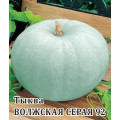 Тыква Волжская серая 92 2 г  Б (Г)