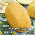 Дыня Радужная (Прима) 0,5 г Б (Г) среднесп.