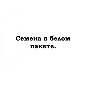 Капуста Каменна голова 0,5г (б/п с евроотв.) Б (Г)