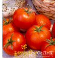Томат Волгоградский 5/95 (0,1г.) (С)