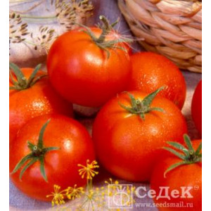 Томат Волгоградский 5/95 (0,1г.) (С)