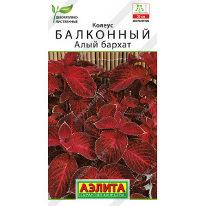 Колеус балконный Алый бархат 5шт Ц