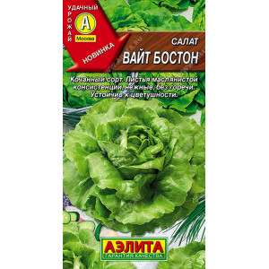 Салат Вайт Бостон (0,5г.) Ц