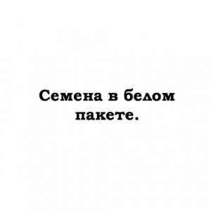 Базилик Аромат лимона (0,5 г) (С)