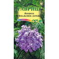 Жакаранда Фиалковое дерево,3сем. (Г)