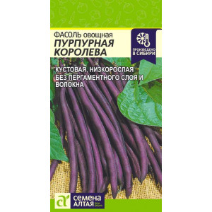 Фасоль Пурпурная Королева АЛТ