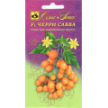 Томат Черри Савва Сем