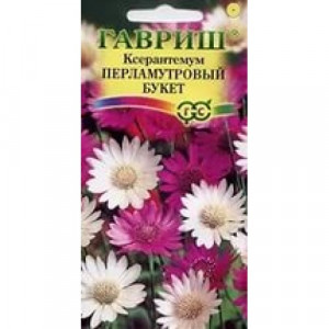 Ксерантемум Перламутровый букет*0,05г.(Г)