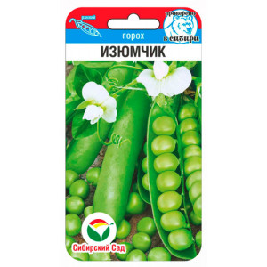 Горох Изюмчик 5гр (Сиб Сад)
