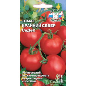 Томат Крайний Север СеДеК (0,1г) (С)