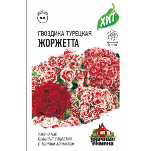 Гвоздика турецкая Жоржетта Г