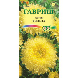 Астра Хильда*0,3г.(Г)