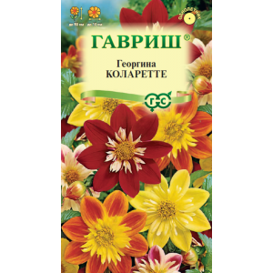 Георгина Коларетте*0,2г.(Г)