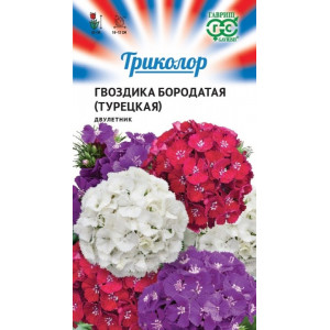 Гвоздика турецкая Триколор, смесь 0,6г.(Г)