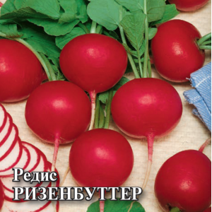 Редис Ризенбуттер 25г (Г)